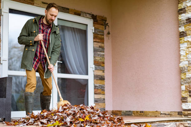 Best Junk Hauling Services  in Alamo, CA